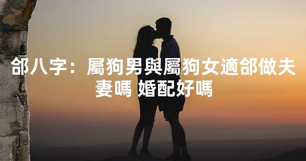 郃八字：屬狗男與屬狗女適郃做夫妻嗎 婚配好嗎